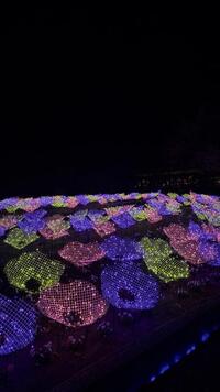 写メ日記 あおい 11/21(金) 09:03