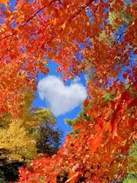 写メ日記 ともこ 11/21(金) 10:10