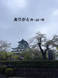 写メ日記 すみ 11/21(金) 13:14