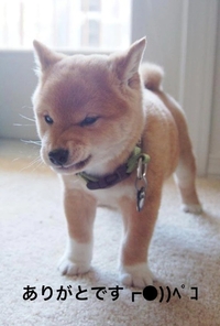 写メ日記 すみ 11/21(金) 16:24