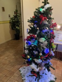 写メ日記 いまり 11/22(土) 21:57