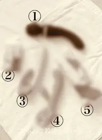 写メ日記 せいら 11/23(日) 13:12