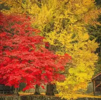 写メ日記 つかさ 11/24(月) 00:27