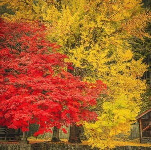 写メ日記 つかさ 11/24(月) 00:27