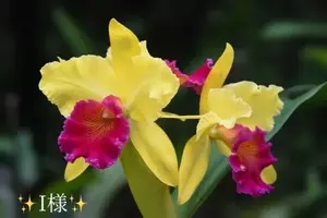 写メ日記 小山真帆 11/24(月) 21:34