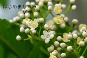 写メ日記 小山真帆 11/25(火) 07:34