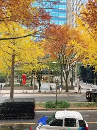 写メ日記 和香 11/25(火) 10:03