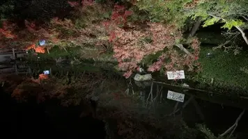 写メ日記 あおい 11/25(火) 10:04