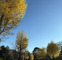 写メ日記 みき 11/25(火) 16:48