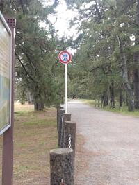 写メ日記 かえ 11/25(火) 22:58