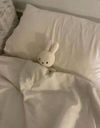 写メ日記 ゆずは 11/26(水) 00:59