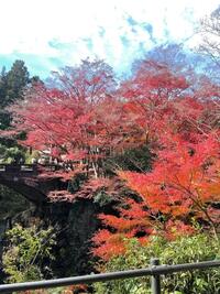 写メ日記 りな 11/26(水) 08:40