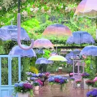 写メ日記 ここは 11/26(水) 10:16