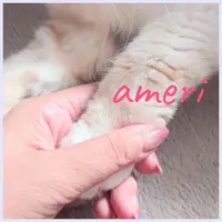 写メ日記 あめり 11/26(水) 18:11