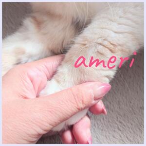 写メ日記 あめり 11/26(水) 18:11