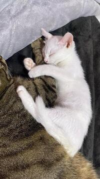 写メ日記 くいん 11/26(水) 18:49