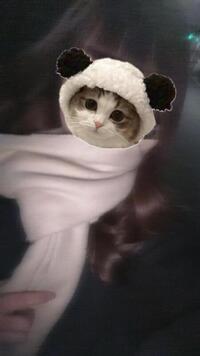 写メ日記 そら 11/28(金) 20:16