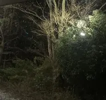 写メ日記 みき 11/28(金) 22:15