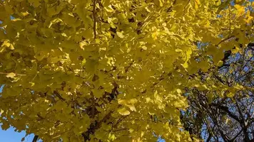 写メ日記 みわ 11/29(土) 10:27