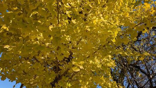 写メ日記 みわ 11/29(土) 10:27