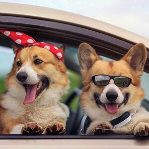 写メ日記 つかさ 11/30(日) 00:29