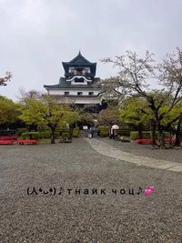 写メ日記 すみ 11/30(日) 13:24