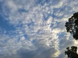 写メ日記 宮本恵美子 11/30(日) 17:22