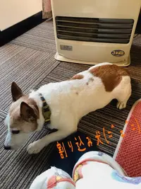 写メ日記 ちふゆ 12/1(月) 08:11