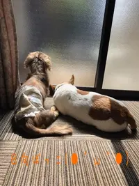 写メ日記 ちふゆ 12/2(火) 08:58