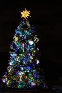 写メ日記 あおい 12/2(火) 10:58