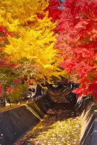 写メ日記 ここは 12/2(火) 20:13