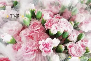 写メ日記 小山真帆 12/2(火) 22:56