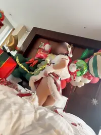 写メ日記 たお 12/3(水) 10:58