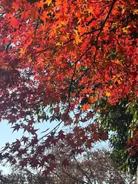 写メ日記 まりあん 12/3(水) 11:32