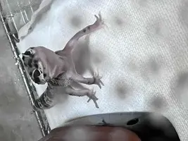 写メ日記 まこと 12/3(水) 13:35