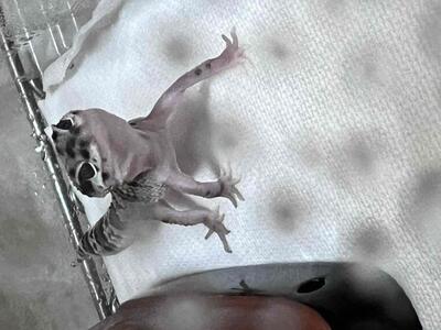 写メ日記 まこと 12/3(水) 13:35