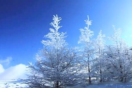 写メ日記 まなみ 12/4(木) 14:35