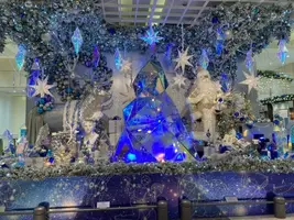 写メ日記 みき 12/5(金) 00:21