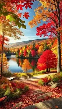 写メ日記 ともこ 12/6(土) 10:03