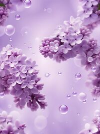 写メ日記 つかさ 12/7(日) 00:28