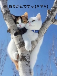 写メ日記 すみ 12/7(日) 12:42