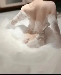 写メ日記 ここは 12/7(日) 18:46