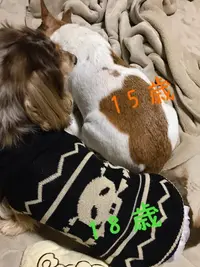 写メ日記 ちふゆ 12/8(月) 07:36