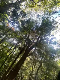 写メ日記 えま 12/9(火) 11:12