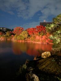 写メ日記 めれんげ 12/10(水) 14:01