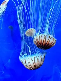 写メ日記 織田真里子 12/10(水) 18:32