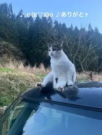 写メ日記 すみ 12/11(木) 16:57