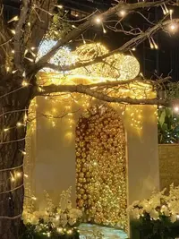 写メ日記 みき 12/11(木) 22:42