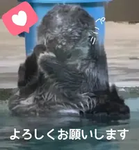 写メ日記 多田朱美 12/13(土) 10:59