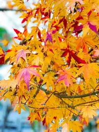 写メ日記 かえで 12/13(土) 17:39